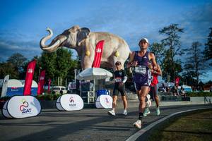 BIB: 
                            <button type="button" onclick="openModal(26541580)" class="btn btn-primary btn-sm float-right btn-popup" data-toggle="modal" data-target=".modal-high-quality">
                        <i class="fas fa-shopping-cart"></i> Add to Cart
                    </button>
                                            <button type="button" onclick="isThisMe(26541580, true)" class="btn btn-success btn-sm float-right btn-popup btn-isme hidden" data-toggle="tooltip" data-placement="bottom" title="นี่คือรูปของคุณใช่ไหม คลิกที่นี่เพื่อเอาเข้าอัลบั้ม">
                        <i class="fas fa-plus"></i> Add to album
                    </button>
                    <button type="button" onclick="isThisMe(26541580, false)" class="btn btn-warning btn-sm float-right btn-popup btn-isnotme hidden">
                        <i class="fas fa-ban"></i> Remove from album
                    </button>